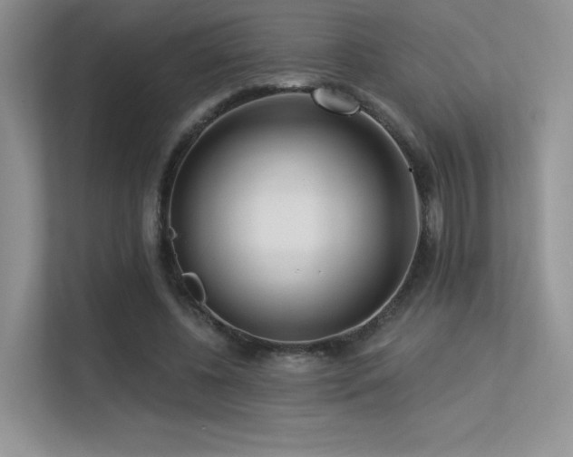 X0000113300540200909141249