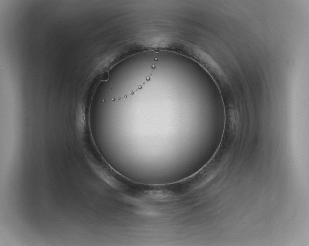 X0000113300541200909141249