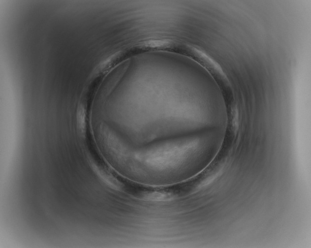 X0000113300542200909141249