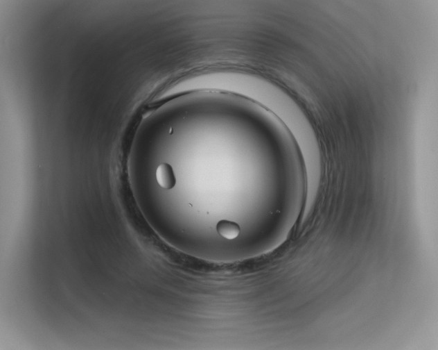 X0000113300544200909141249