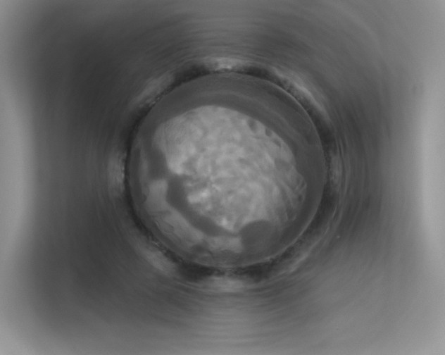 X0000113300545200909141249