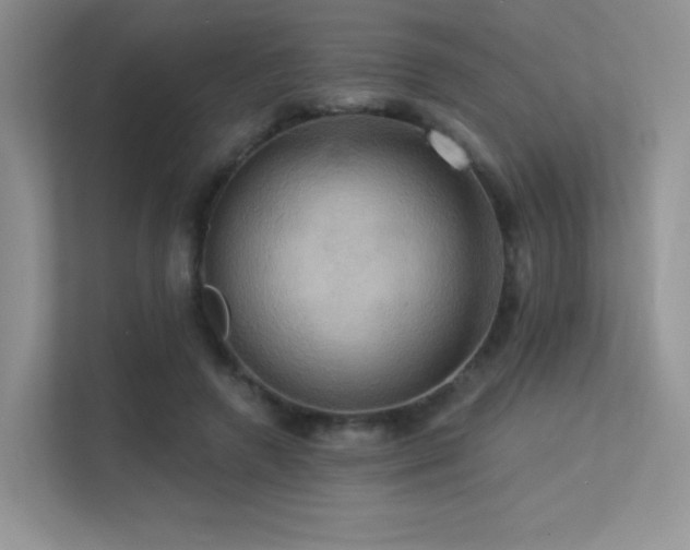 X0000113300546200909141249