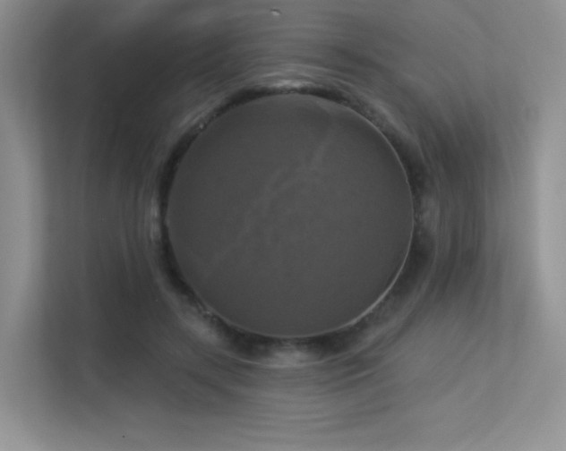 X0000113300547200909141249