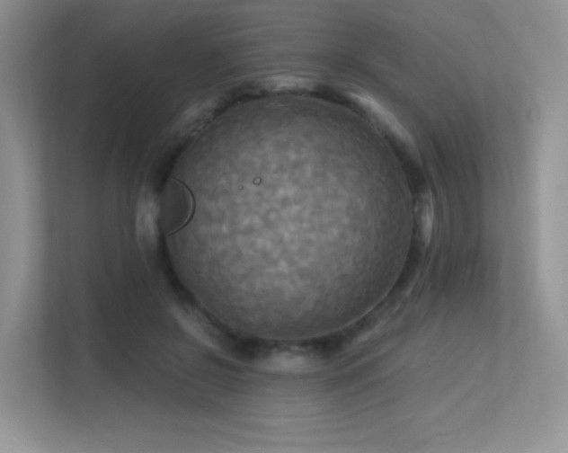 X0000113300550200909141249