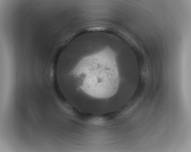 X0000113300551200909141249