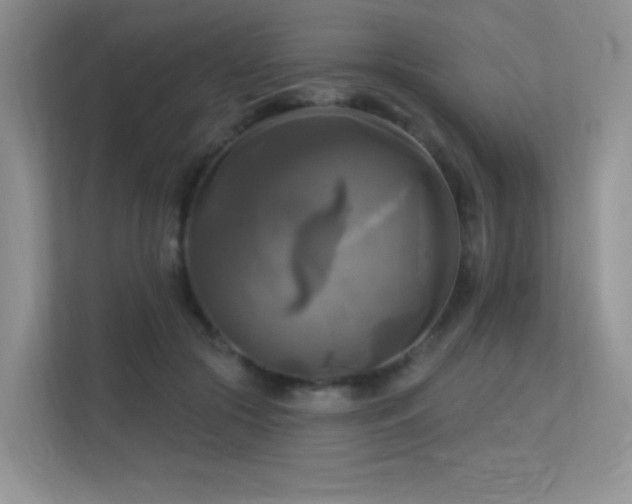 X0000113300553200909141249