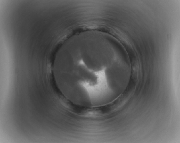 X0000113300555200909141249