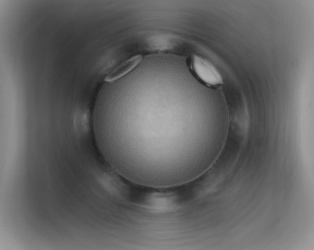 X0000113300556200909141249