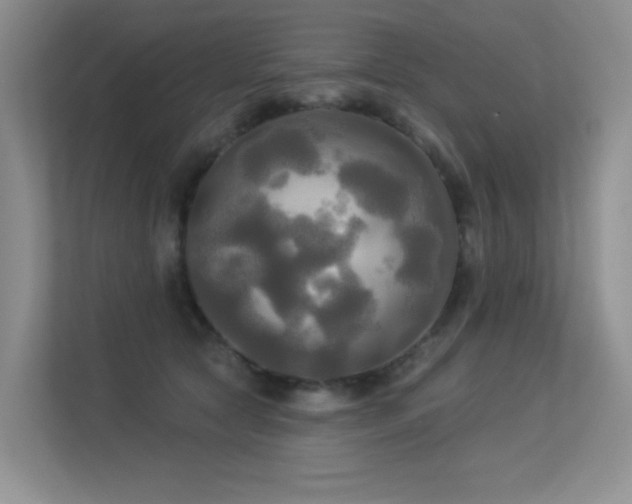 X0000113300561200909141249
