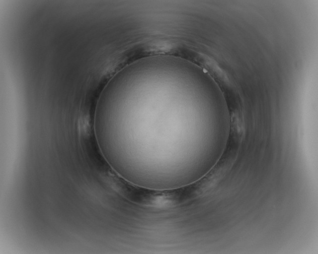 X0000113300564200909141249