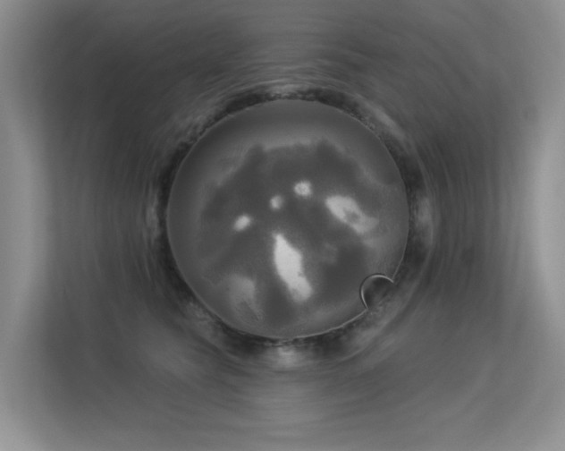 X0000113300565200909141249