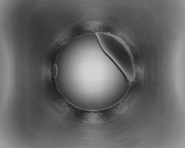X0000113300566200909141249