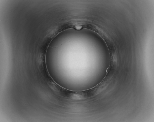 X0000113300567200909141249