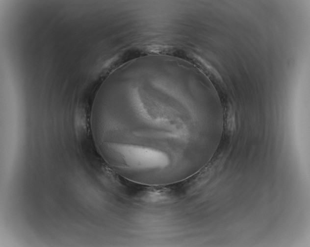 X0000113300569200909141249