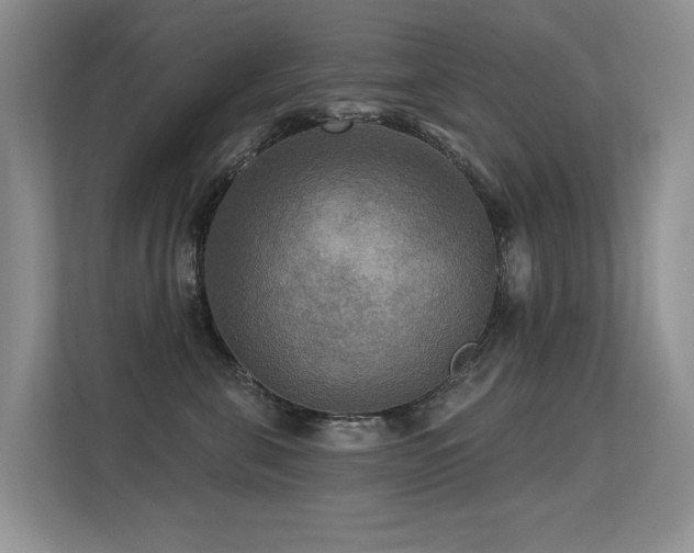 X0000113300571200909141249