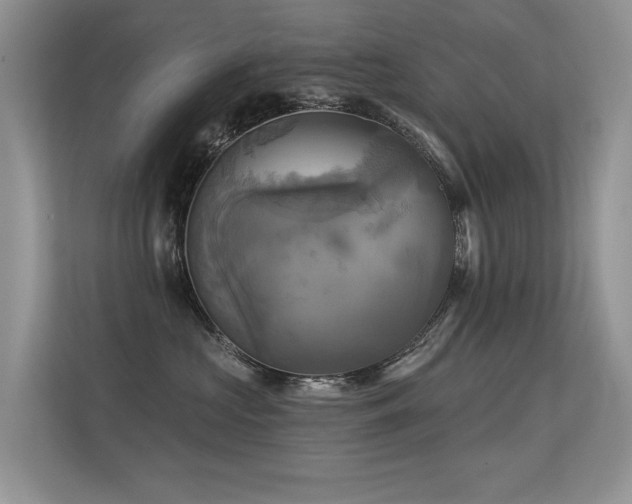 X0000113300573200909141249