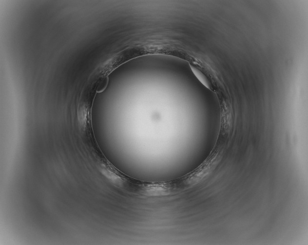 X0000113300574200909141249