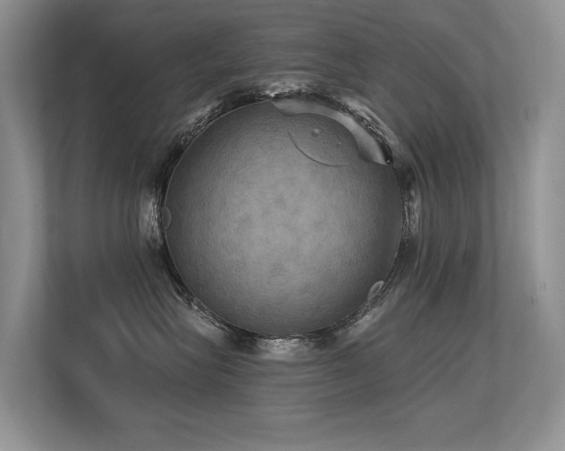 X0000113300575200909141249
