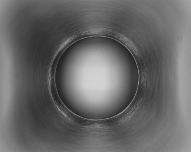 X0000113300578200909141249