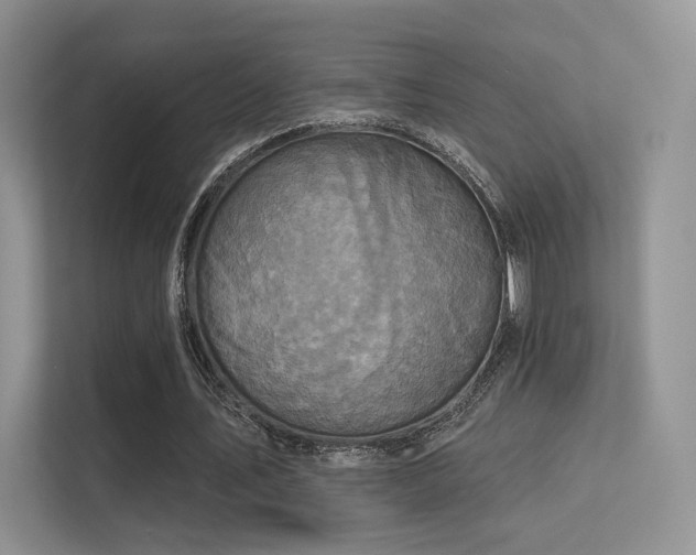 X0000113300579200909141249
