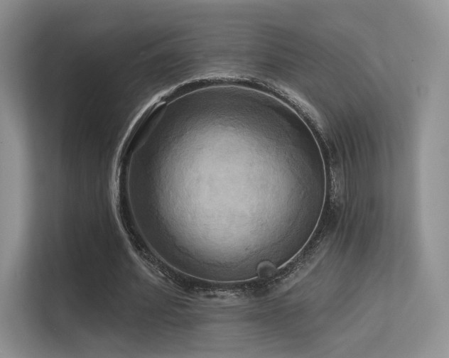 X0000113300580200909141249