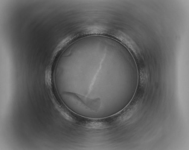 X0000113300581200909141249