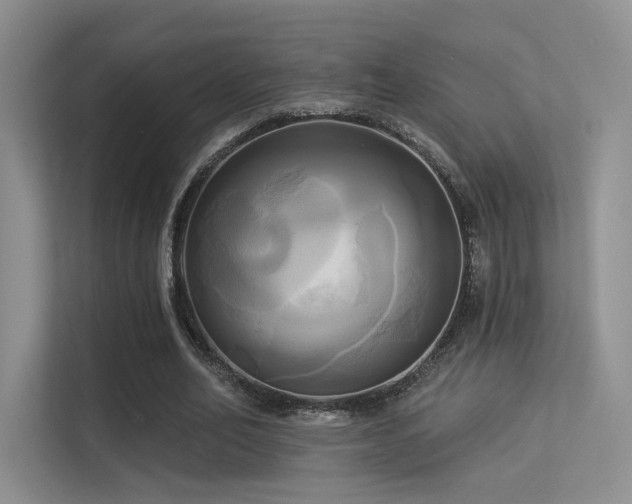 X0000113300582200909141249
