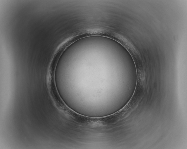 X0000113300583200909141249