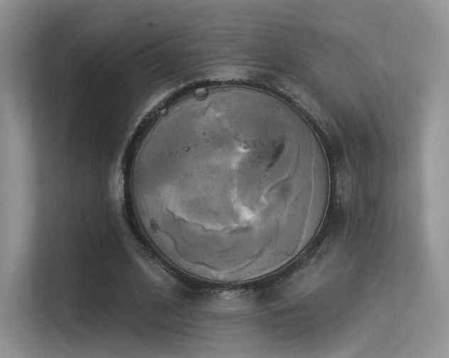 X0000113300584200909141249