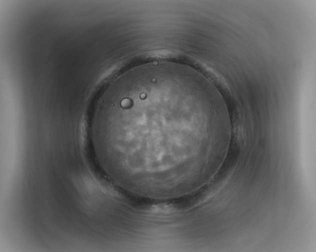X0000113300591200909141249