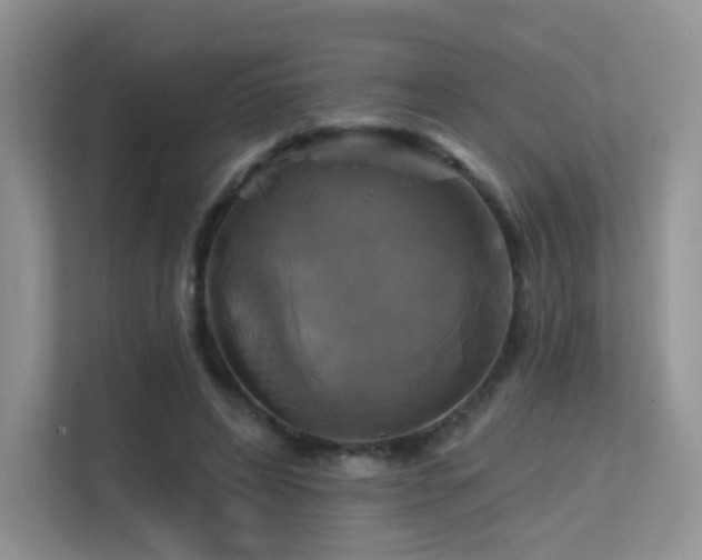 X0000113300592200909141249
