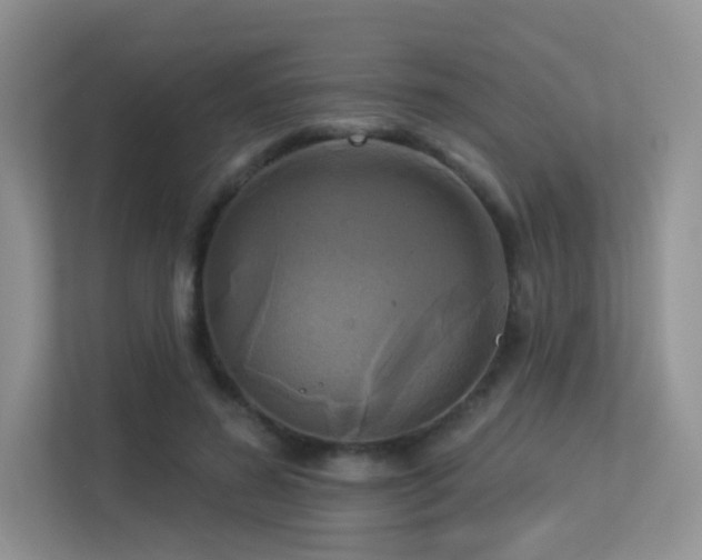 X0000113300596200909141249