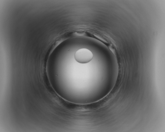 X0000113300597200909141249