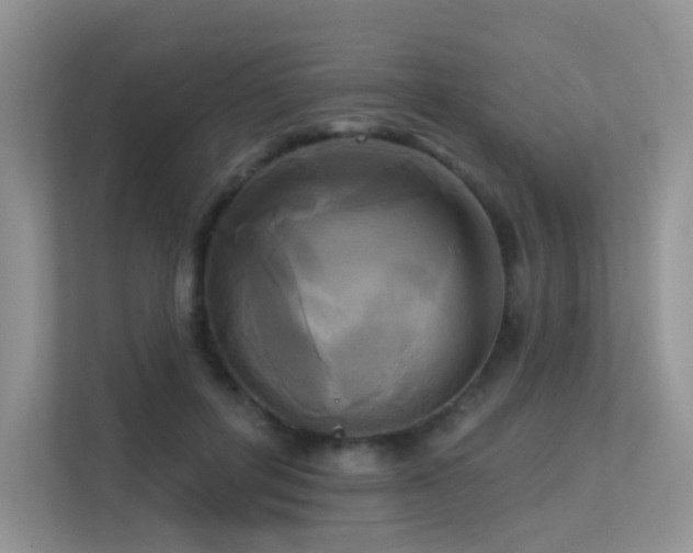 X0000113300600200909141249