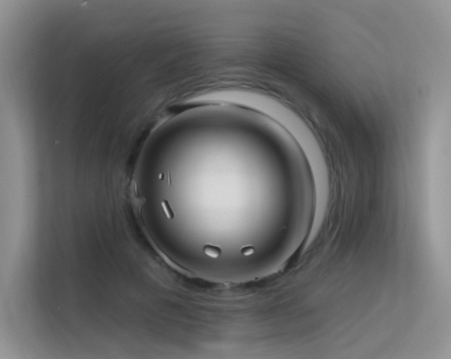 X0000113300601200909141249