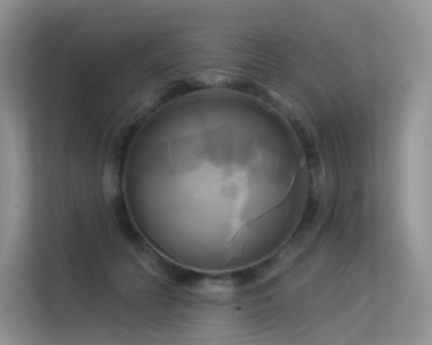 X0000113300606200909141248