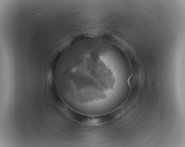 X0000113300610200909141248