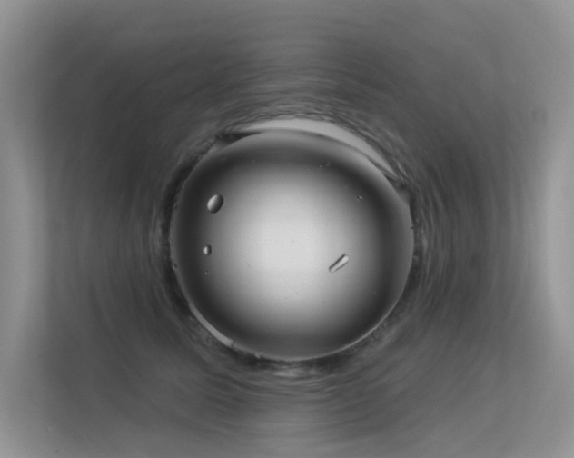 X0000113300611200909141248