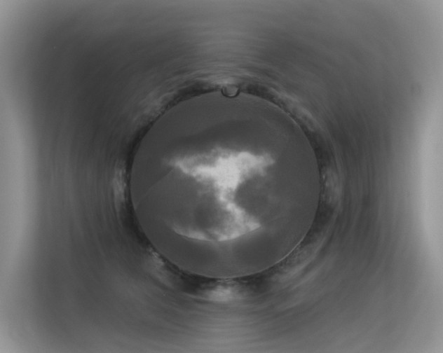 X0000113300612200909141248