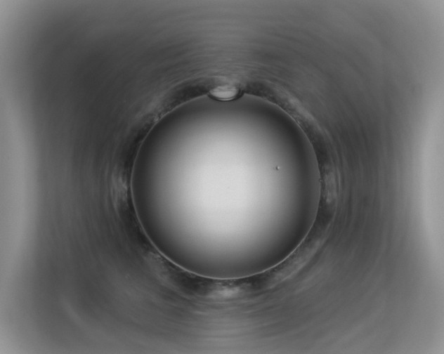 X0000113300613200909141248