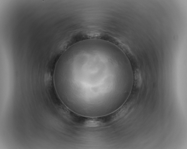 X0000113300614200909141248