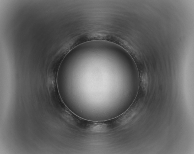 X0000113300617200909141248