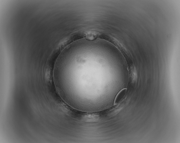 X0000113300619200909141248