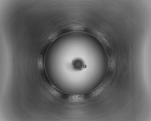 X0000113300622200909141248