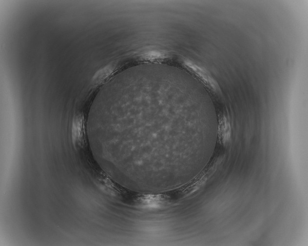 X0000113300623200909141248