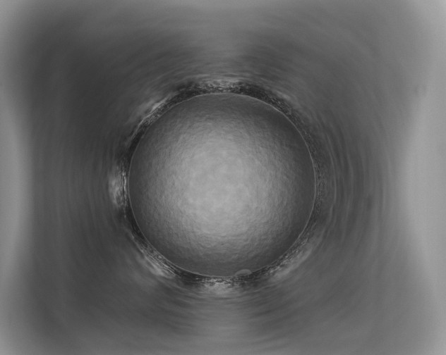 X0000113300624200909141248