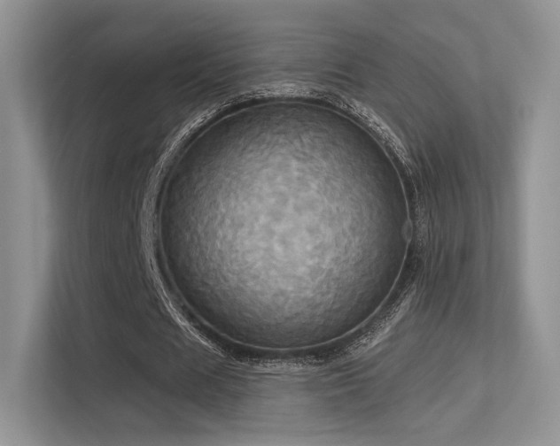 X0000113300625200909141248