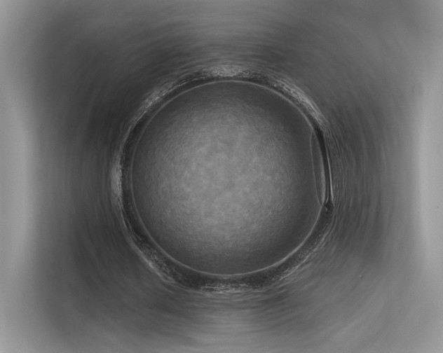 X0000113300626200909141248