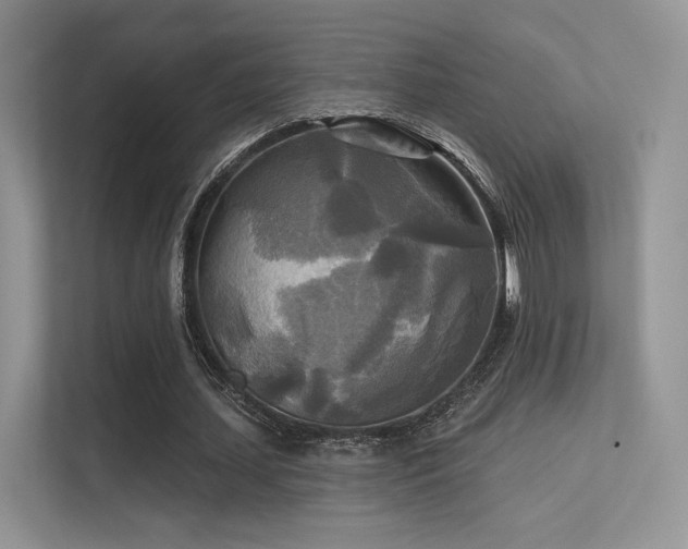 X0000113300627200909141248