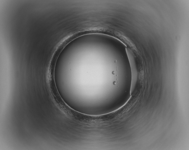 X0000113300628200909141248